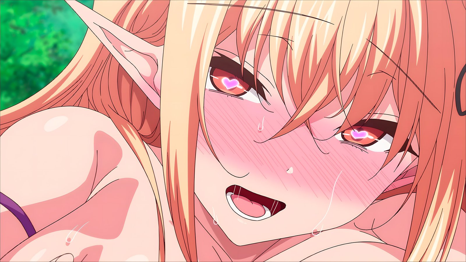 Elf ni Inmon o Tsukeru Hon OVA 2 Trailer Surfaces Ahead of Official Veröffentlichung