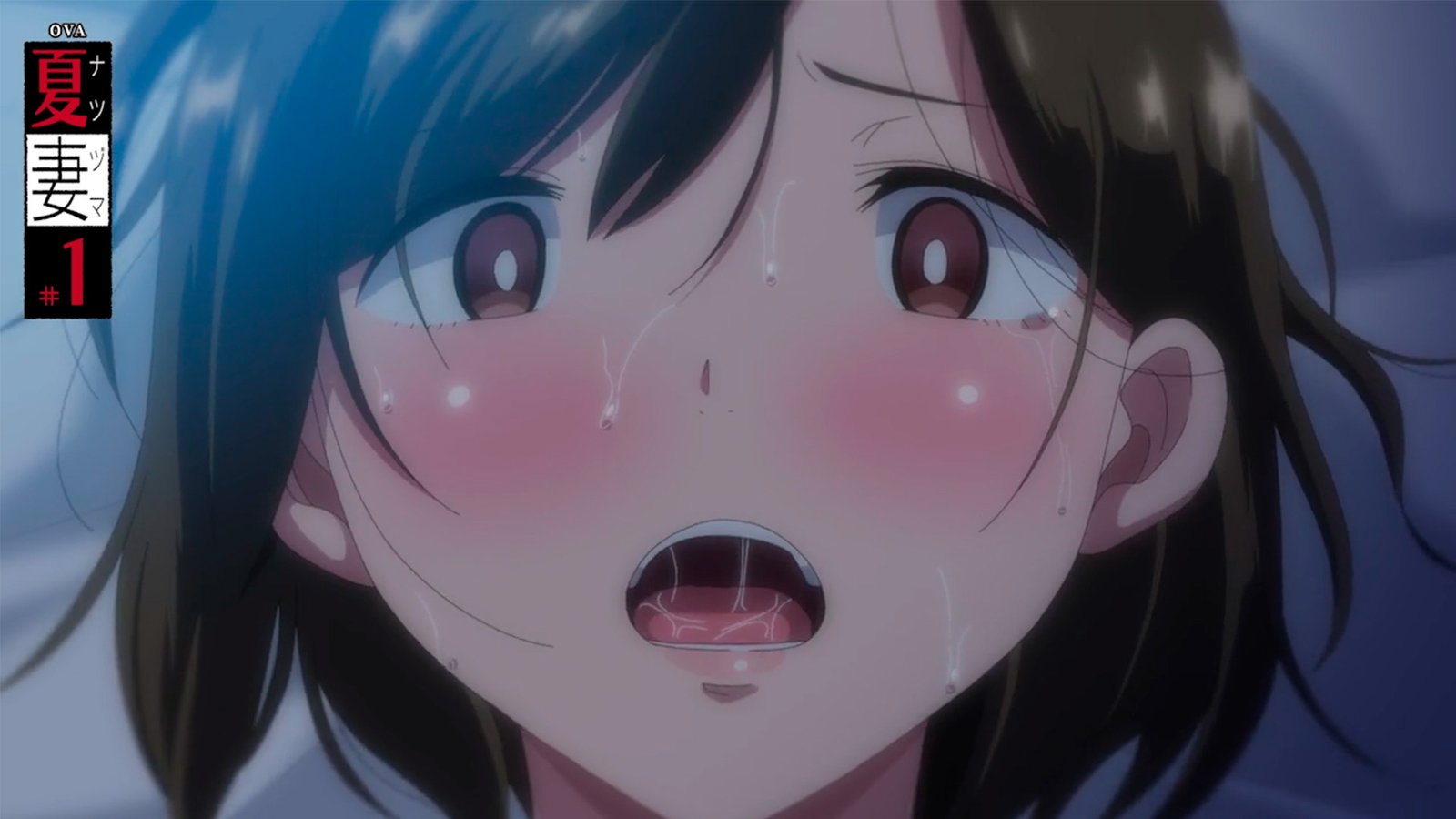 Housewife is Relentlessly Fucked in der Trailers für Natsuzuma